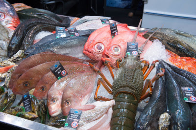 ประกาศวันที่และสถานที่ใหม่สำหรับงาน Seafood Expo Asia ครั้งที่ 10 ซึ่งจะจัดขึ้นที่สิงคโปร์